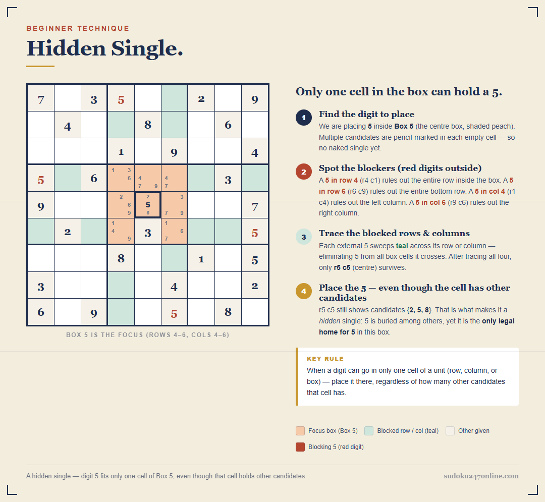 Hidden single in Sudoku: digit 5 can legally go in only one cell of the highlighted box